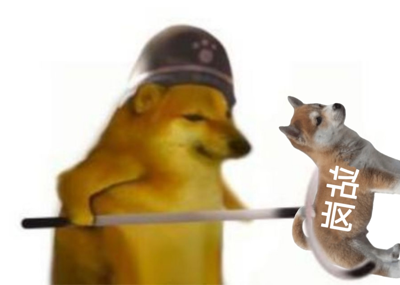 站岗小狗表情包火了！一句“把站岗的都叉出去”成斗图新梗