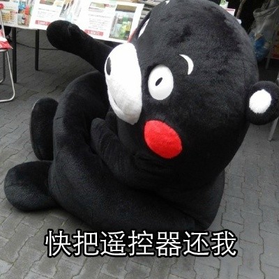 熊本熊热到昏古七！这套夏日表情包太懂打工人了