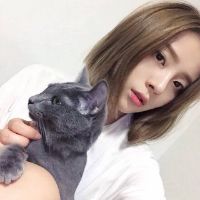 18张清新感抱猫女生头像 治愈又好看的女猫同框头像合集