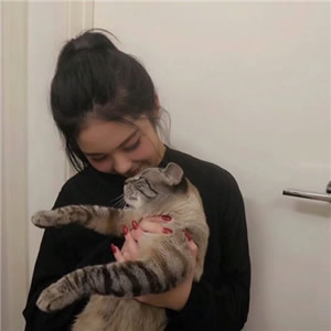 女生猫咪控专属QQ头像！11张高清有爱猫咪主题头像合集