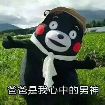 父亲节专属熊本熊表情包来啦！