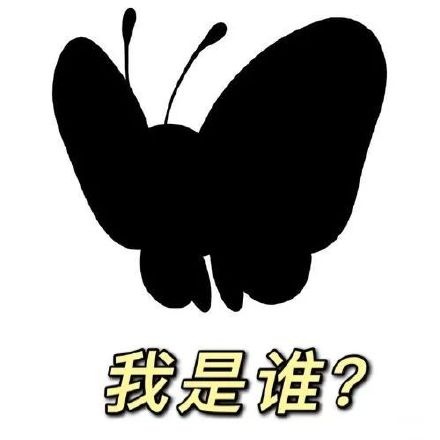 聊天斗图新梗！猜猜我是谁配上“恁蝶”的表情包火了