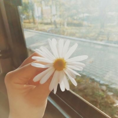 手控女生看过来！36张高清唯美意境手部头像图