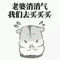 道歉向表情包合集：老婆原谅我吧，都是我的错