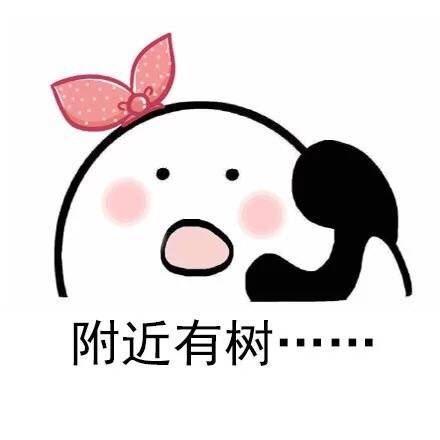路痴的日常：不靠东西南北，全靠前后左右认路