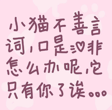 小猫文学表情包来啦 软乎乎治愈感拉满