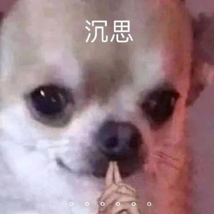 聊天斗图必备！狗狗动图表情包合集
