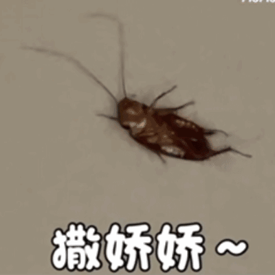 聊天斗图新选择！蟑螂表情包合集上线啦