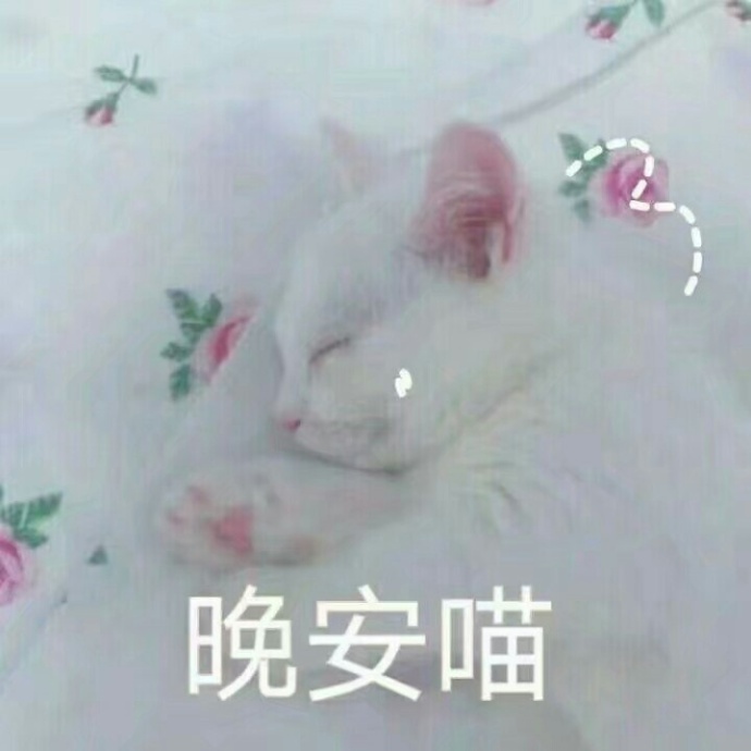 铲屎官快来看！这套喵星人盟主表情包快收好