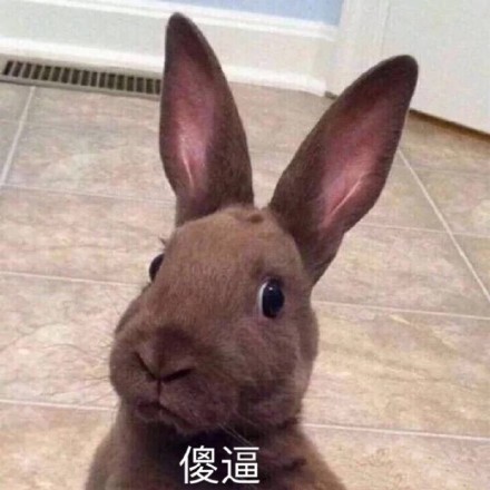 聊天斗图必备！这套兔兔表情包太好用了