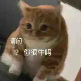超实用猫猫表情包合集