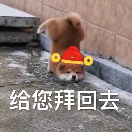 过年拜年不用愁！这套表情包帮你轻松拿捏场面