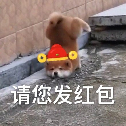 过年拜年不用愁！这套表情包帮你轻松拿捏场面