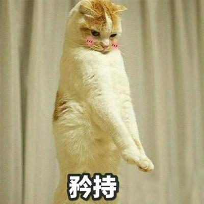 超治愈！这波可爱表情包太适合斗图了