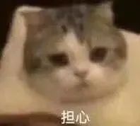 情侣聊天能用的实用表情包合集