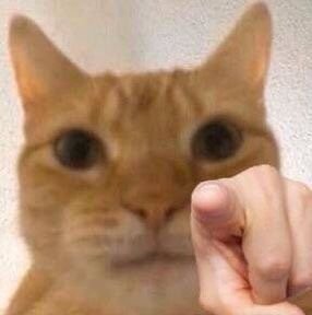 超好用的指人表情包合集来了