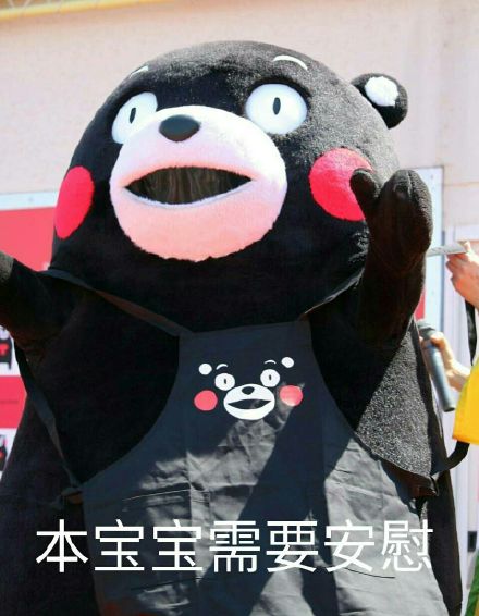 熊本熊版“人丑多看书”表情包来啦