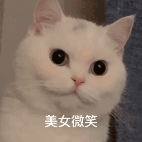 聊天斗图必备！撇嘴猫表情包合集