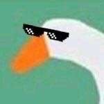 超好用的大白鹅表情包合集来啦