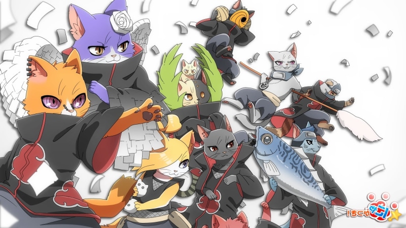 火影晓组织全员猫咪化壁纸合集