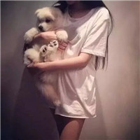 女生带宠物的有爱头像合集 一共18张好看的图