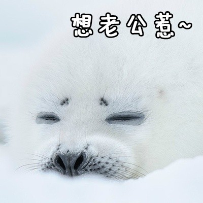 给老公发的撒娇表情包合集