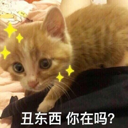 超全猫咪表情包合集来啦，斗图必备！