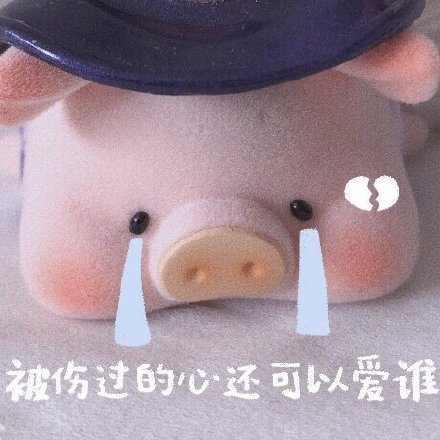 聊天斗图必备！猪猪表情包合集来啦