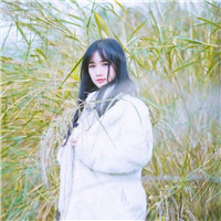 文艺森系清新女生头像合集 18张氛围感拉满的女生头像来了