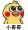 超实用小黄鸡亲亲表情包合集