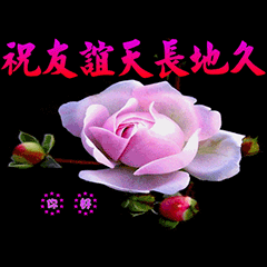 中老年聊天专属表情包合集