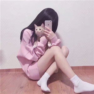 女生猫咪控专属QQ头像！11张高清有爱猫咪主题头像合集