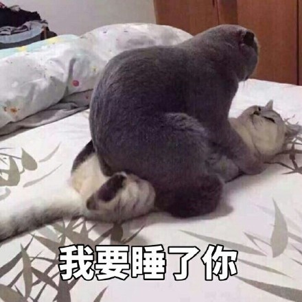 超治愈！这波可爱表情包太适合斗图了