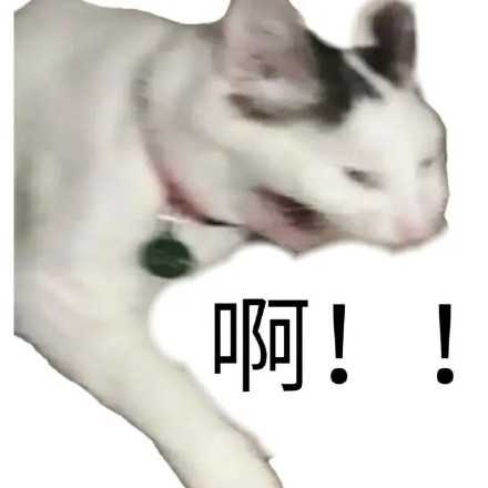聊天斗图必备！这套带“啊”字的猫咪表情包太好用了