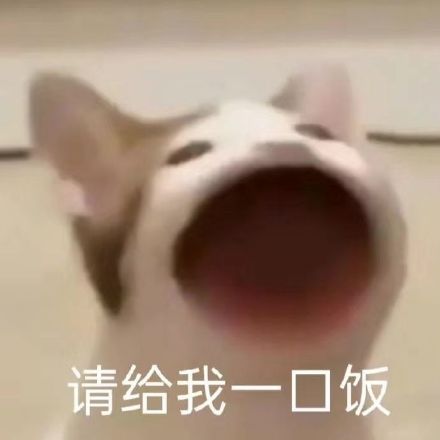 12月23日热门斗图表情包合集
