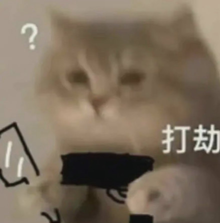 超实用猫猫表情包合集