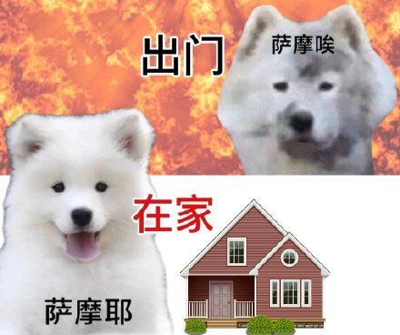 热到发疯？这套高温表情包帮你吐槽