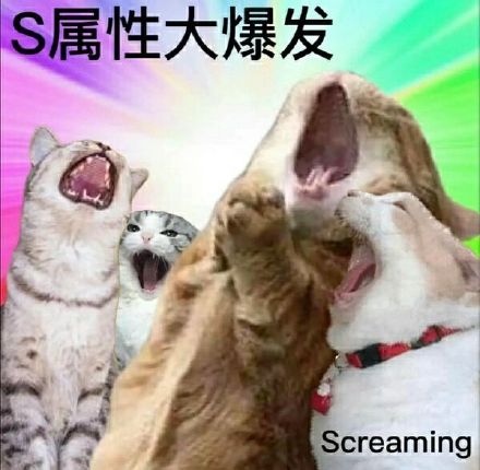 斗图神器！S属性大爆发表情包合集来啦