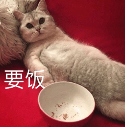 双11刚过就吃土？这套没钱表情包太真实了