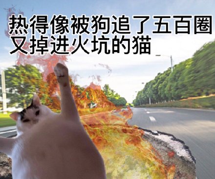 热到发疯？这套高温表情包帮你吐槽