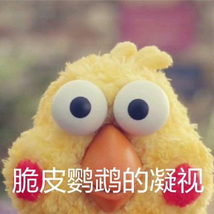 鹦鹉兄弟表情包火了！网友：这明明就是脆皮鸡嘛