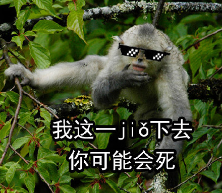 自带烈焰红唇的滇金丝猴表情包来啦