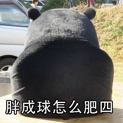 熊本熊版“怎么肥四”表情包合集来了