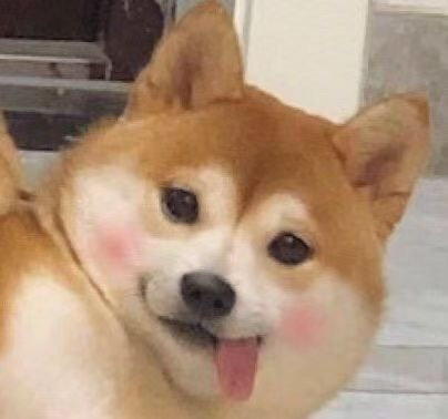 聊天斗图必备！超全狗勾表情包合集