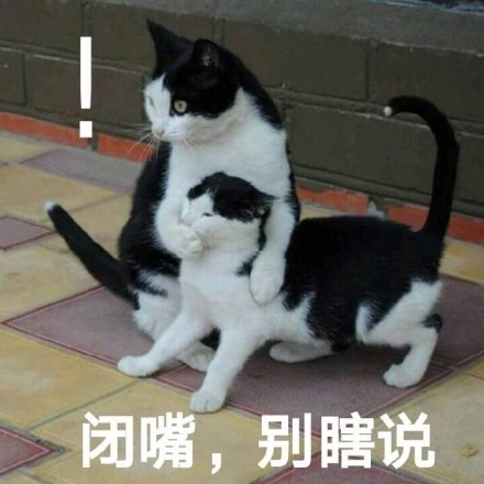 别瞎说，我们俩感情好着呢