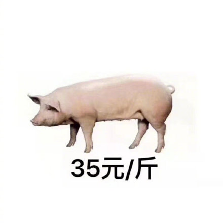 到的对比表情包合集来了