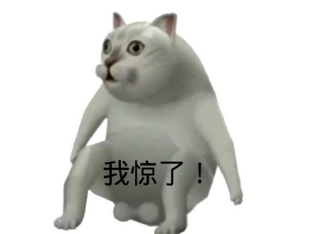 Mur猫憨憨猫表情包合集来啦
