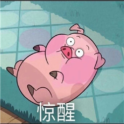 刷到这套猪猪表情包，谁看了不说一句可爱