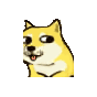 魔性doge小黄狗动图表情包合集来啦