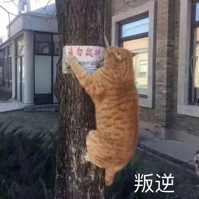 1月10日斗图表情包合集来了